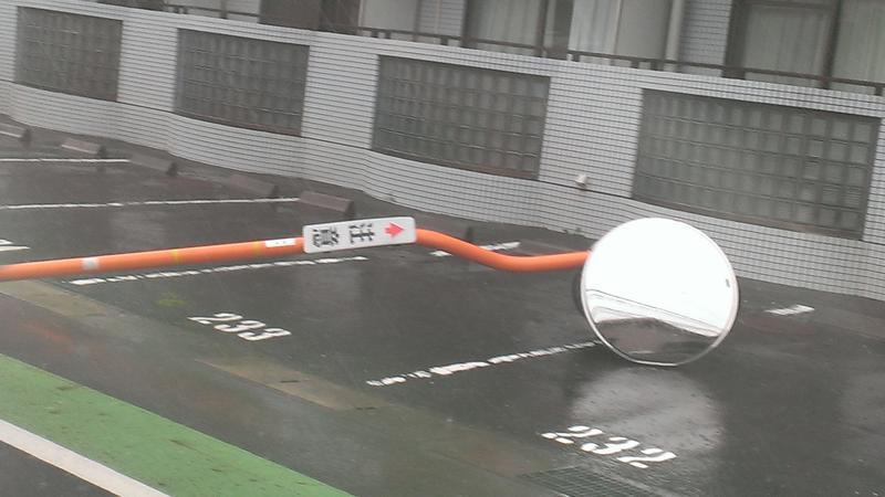 2014-08-10 09.36.18.jpg